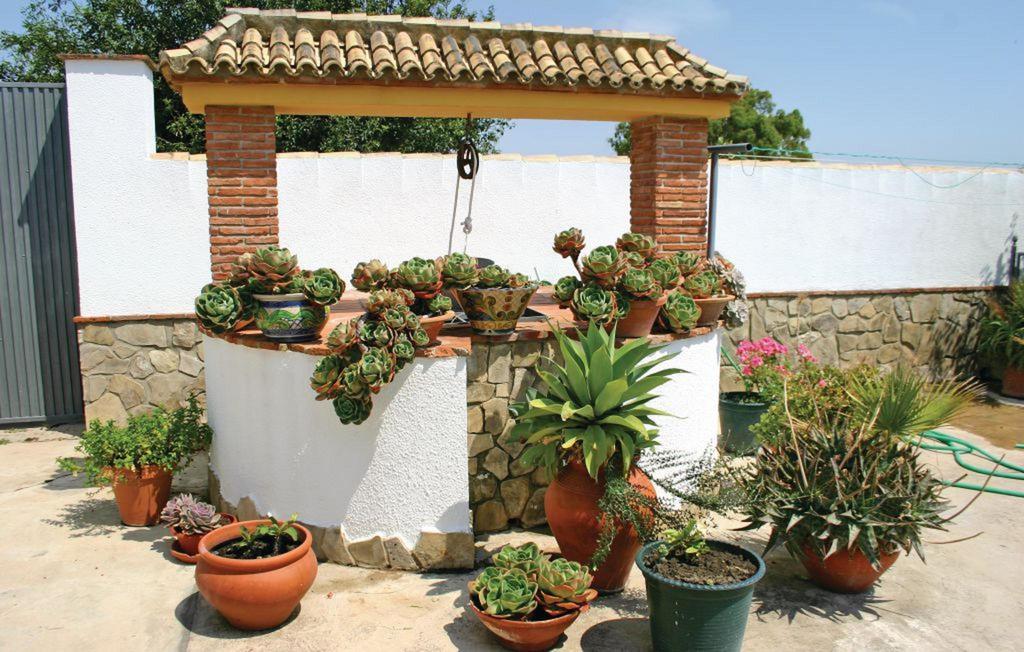 Dehesa Las Yeguas Benalup-Casas Viejas Exterior photo